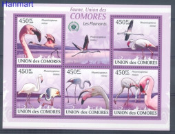 Comoros 2009 Mi 2402-2406 MNH  (ZS4 COMark2402-2406) - Marine Web-footed Birds