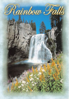 ETATS UNIS - Hawaii - Rainbow Falls - Water From The Middle Fork Of The San Joaquin River - Carte Postale - Honolulu