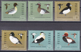 Polen Poland 1985 - Mi.Nr. 2998 - 3003 - Postfrisch MNH - Tiere Animals Vögel Birds Enten - Canards