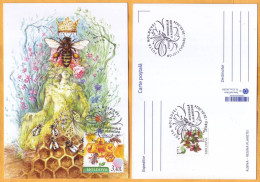 2024 Moldova  MAXICARD Special Postmark „World Bee Day”,Insects, Honeybees - Honeybees