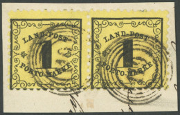 BADEN LP 1x Paar BrfStk, 1863, 1 Kr. Schwarz Auf Gelb Im Waagerechten Paar, Nummernstempel 110 (PFULLENDORF), Prachtbrie - Afgestempeld