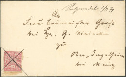 NDP GAA 1 BRIEF, Ganzsachenausschnitt: 1871, 1 Gr. Rosa, Grauer Überdruck, Mit Federkreuz Auf Briefhülle Von Salzwedel N - Lettres & Documents