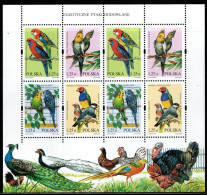 Polen Poland 2004 - Mi.Nr. 4117 - 4120 Kleinbogen - Postfrisch MNH - Vögel Birds - Papegaaien, Parkieten