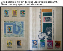 DOMINICA , 1978-82, Fast Komplette, Postfrische Jahrgänge, Mit Blocks, Im Einsteckbuch, Pracht - Dominica (1978-...)