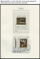 EUROPA UNION , Postfrische Sammlung Sympathie- Und Mitläuferausgaben Von 1959-2005, Meist Nur Auf Borek Falzlosseiten, A - Collections