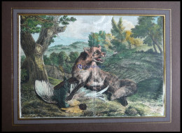 Fuchs Und Seine Beute (Fuchs Und Auerhahn), Kolorierter Holzstich Um 1880 - Lithografieën
