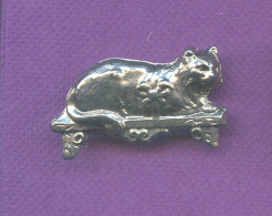 Rare Gros Pins De Chat Q382 - Animals