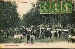 12541 - Gers -  FLEURANCE  :  Le Champs De Foire   Forte Animation   -circulée En 1920 - Fleurance