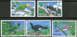 BELIZE 2009 - Oiseaux En Danger - 5 V. - Belize (1973-...)