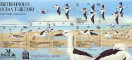 BIOT 2001 - Birdlife - Crab Plover - BF - Mouettes