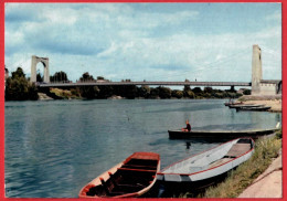 49 - M59506CPM - CHALONNES SUR LOIRE - Pont Sur La Loire - Très Bon état - MAINE ET LOIRE - Chalonnes Sur Loire