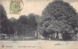 Belgique - BRUXELLES - Les Araucarias, Avenue Louise - Ed. Nels Série 1 N. 334 - Avenues, Boulevards