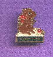 Rare Pins Super Besse Marmotte T171 - Animals