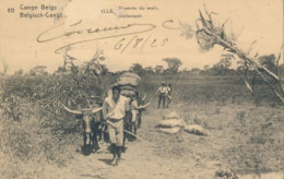 BELGIAN CONGO PPS SBEP 61 VIEW 80 USED - Enteros Postales