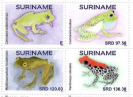 Suriname 2024, Frogs, 4val - Ranas