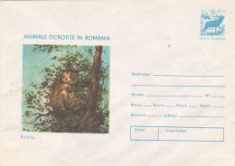 OWL, BIRDS, ANIMALS, COVER STATIONERY, 1977, ROMANIA - Uilen