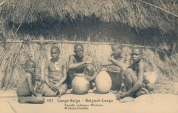 BELGIAN CONGO PPS SBEP 61 VIEW 101 UNUSED - Entiers Postaux