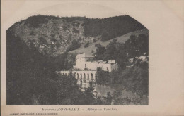 Environs D'ORGELET Abbaye De Vaucluse - Orgelet