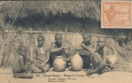BELGIAN CONGO PPS SBEP 61 VIEW 101 USED - Entiers Postaux