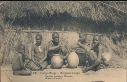 BELGIAN CONGO PPS SBEP 61 VIEW 101 USED - Entiers Postaux