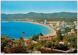 CPSM Le Lavandou-Vue GÃ©nÃ©rale    L2154 - Le Lavandou