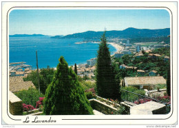 CPSM Le Lavandou   L2154 - Le Lavandou