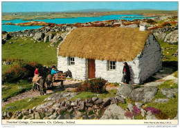 CPSM Ireland-Thatched Cottage-Connemara-galway      L2137 - Galway