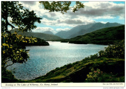 CPSM Ireland-Evening On The Lakes Of Killarney-Kerry      L2170 - Kerry