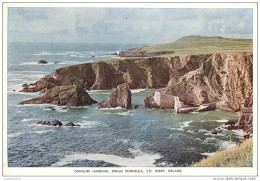 CPSM Ireland-Dunquin Harbour-Dingle Peninsula-Kerry      L2170 - Kerry