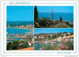 CPSM Le Lavandou   L2155 - Le Lavandou