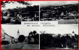 SOMMERFRISCHE FRIEDBERG AM WECHSEL. STEIERMARK - Friedberg