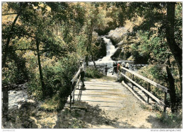 CPSM Environs De Saulieu-Saut De Gouloux     L2084 - Saulieu