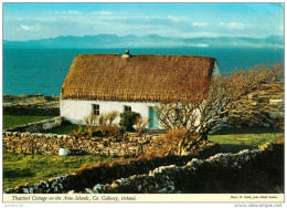 CPSM Irlande-Ireland-Thatched Cottage On The Aran Islands,galway    L2064 - Galway