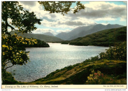 CPSM Irlande-Ireland-Evening On The Lakes Of Killarny,Kerry   L2064 - Kerry