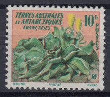 TIMBRE TAAF FLORE PRINGLEA CHOU DES KERGUELEN N° 11 NEUF ** GOMME SANS CHARNIERE - Unused Stamps