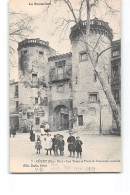 CERET - Les Tours Et Porte De L'ancienne Enceinte - Très Bon état - Ceret