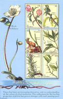 Gambia 2001 Medical Plants 6v M/s, Mint NH, Health - Nature - Health - Flowers & Plants - Gambia (...-1964)