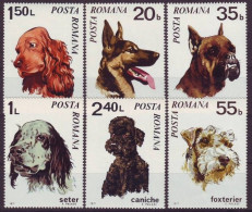 ROMANIA 2908-2913,unused - Chiens