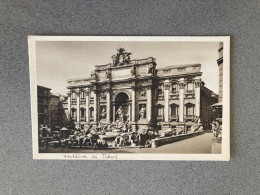 Fontana Di Trevi Carte Postale Postcard - Fontana Di Trevi