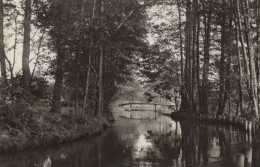 134286 - Burg (Spreewald) - Kamper - Neue Spree - Burg (Spreewald)