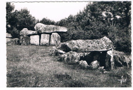 FR-5263   CARNAC : Dolmens - Dolmen & Menhirs