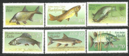 444 Germany DDR Poissons Fish Fische Pesce MNH ** Neuf SC (DDR-81b) - Poissons