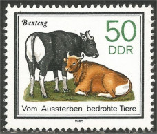 444 Germany DDR Vache Cow Vaca Kuh Koe Mucca Vacca Banteng MNH ** Neuf SC (DDR-20) - Koeien