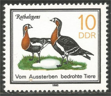 444 Germany DDR Oie Gans Goose Rathalsgans Ganso Oca MNH ** Neuf SC (DDR-19) - Ganzen