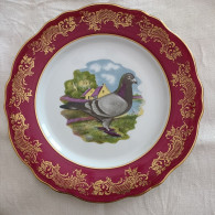 ASSIETTE Décorative à Motif D'un Pigeon, Porcelaine De Limoges - Limoges (FRA)