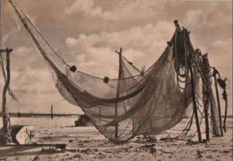 79100 - Ostsee - Netze Am Strand - 1971 - Sonstige & Ohne Zuordnung