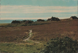 100948 - Sylt - Friesenhäuser In Der Kampener Heide - Ca. 1965 - Sylt