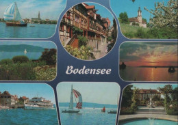 37464 - Bodensee - Mit 8 Bildern - 1989 - Sonstige & Ohne Zuordnung