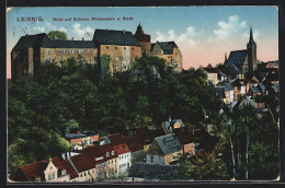 AK Leisnig, Schloss Mildenstein Und Stadt  - Leisnig