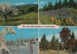 45059 - Sauerland - Die Vier Jahreszeiten - 1972 - Sonstige & Ohne Zuordnung